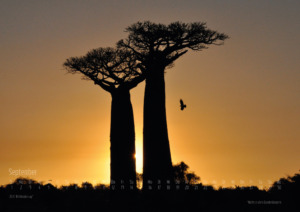 Landschaftsfotografie Madagaskar Galerie Fotografieren lernen Kalenderblatt 2024