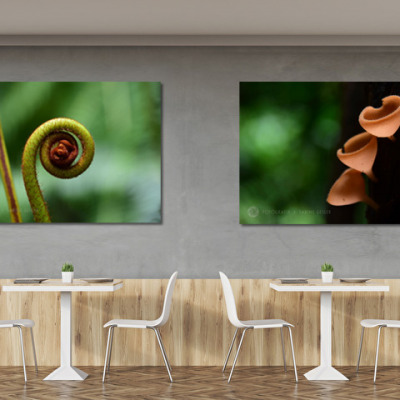 Family cafe with two posters and concrete walls